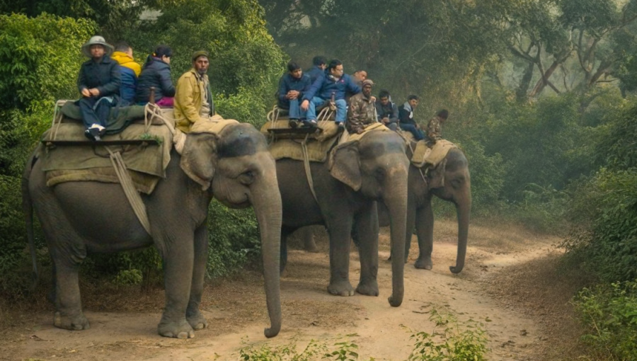 73247999-8629-4a04-a0e8-515c6ab8a74b 73247999-8629-4a04-a0e8-515c6ab8a74b